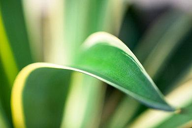 《穿越火线：军团》停止开发和服务 8月19日下架Steam